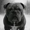 Wreck it Richard - @richards_world_of_chaos - TikTok