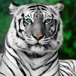 Carlos Richard Bartolo chirino - @carlosrichardbartolo - Instagram