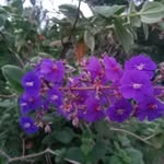 Richard Bartolo - @richard.bartolo.9250 - Instagram