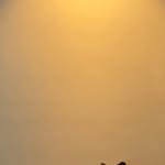 Richardbash - @rczhong1224 - Instagram