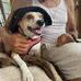 Richard Bator - Facebook