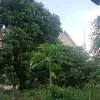 Richard Jay Battad - @richard.jay.batta - TikTok