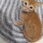 Richard Richard Baud - @richardrichardbaud - Instagram
