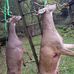 Richard Baumstark - Facebook