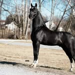 Richard Beachy - @richard.beachy.1 - Instagram
