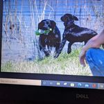 Richard Beane - @richard.beane.1 - Instagram