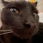 Richard “Bartholemew” Beans - @beans4ever08 - Instagram