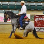 Richard and Janeene Bedell - @bedellquarterhorses - Instagram