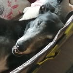 Richard Beese - @beese.richard - Instagram