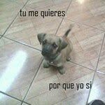 Richard Bejar - @richardbejar - Instagram