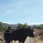 Richard Carlos Bejar Vilca - Facebook