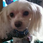 Richard Belleville - @compuad77 - Instagram
