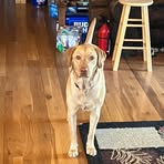 Richard Bellin - Facebook