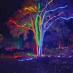 Richard Fran Bellingham - @richardandfranbellingham - Instagram
