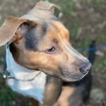 Richard Bellman - @rgb1123 - Instagram