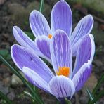 Richard Bendix - Facebook