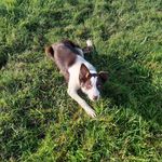 Bérangère Richard - @richard.berangere - Instagram