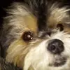 Richard Berge - @user292184854 - TikTok