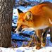 Richard Berney - Facebook