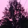 Richard berongoyr79@gmail.com - @richardberongoy47 - TikTok