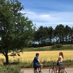 Richard Bertram - @richardbertram56 - Instagram