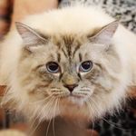 RichardBertram - @richardbertramkater - Instagram