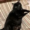 user2400118690669 - @richardbey63 - TikTok