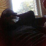 Richard BIBBS - @truu_stonner - Instagram