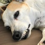 Richard Bingle - @richiesabry - Instagram
