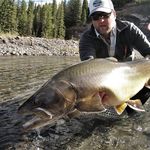 Richard Bitterman - @intomybacking - Instagram