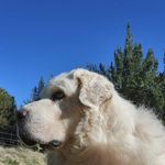 Richard Blagg - @richard.blagg.75 - Instagram