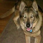 Richard Blaha - @richard.blaha.92 - Instagram