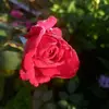 Richard Blanc - @richard.blanc3 - TikTok
