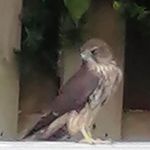 Richard Blanch - @richard_blanch - Instagram