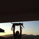 Richard Bloch - @richard68bloch - Instagram