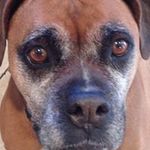 Richard Bloch - @bloch.richard - Instagram