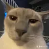 bob_richards42 - @bob_richards42 - TikTok