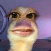 POLLO ASADOOO - @richardbobarilla - TikTok