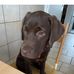 Richard Bogdanov - Facebook