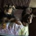 Richard Bohn - Facebook
