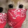 Richard Bohn - @richardbohn9228 - TikTok