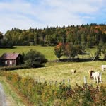 Richard Bolduc - @richard.bolduc.543 - Instagram