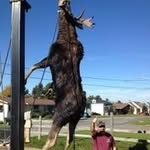 Richard Bolduc - @richardbolduc25 - Instagram