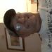 Richard Bolek - Facebook