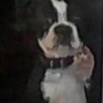 Richard Bolin - @bolin.richard - Instagram