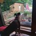 Richard Botos - Facebook