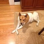 Richard Botos - @botos.richard - Instagram