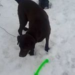 Richard Boulet - @15richardboulet - Instagram