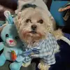 Richard Bourque - @richard.bourque2 - TikTok