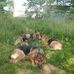 Boyden Richard - Facebook